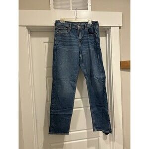 American Eagle 90s Straight Leg Denim Jean Size 10 Tall Medium Wash Mid Rise